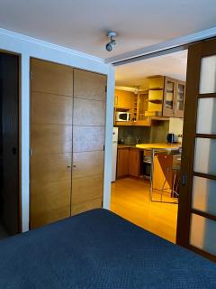 Providencia 2 ambientes suite - Santiago - 9
