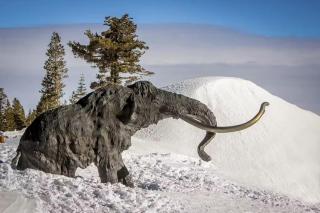 Snowcreek 590 - Mammoth Lakes - 4