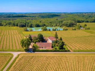 Maison Cœur Des Vignes - Les Salles-de-Castillon - 9