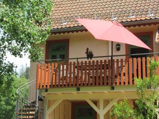 Ferienwohnung Schönmünzblick - Urlaub im Nationalpark Schwarzwald - Schwarzwald Plus inklusive - Baiersbronn - 5