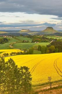 An-der-Bastei-I-Mit-Garten - - 9