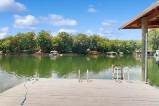 Heron's Nest - Moneta - 2