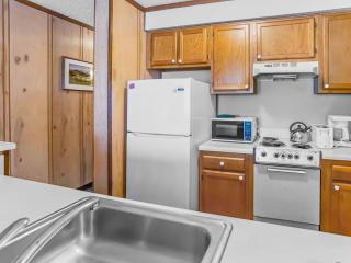 Top of the World 213 Ski In Out EZ park ECONOMY - Snowshoe - 4