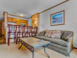 Top of the World 213 Ski In Out EZ park ECONOMY - 9