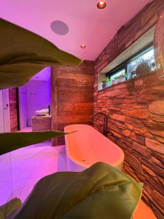 Lodge with luxurious Wellness, Adults Only - Rheezerveen - 9