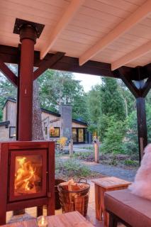Lodge with luxurious Wellness, Adults Only - Rheezerveen - 8