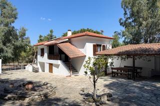 Ammouliani Beach House - Amolianí - 9