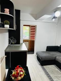 Grigo Apartament - Cluj-Napoca - 2