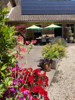 Vakantiewoningen De schapenweide - 6