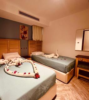 Blue Beach House - Marsa Matruh - 7