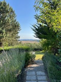 Il Lavandeto - farmhouse in the city - Sienne - 8