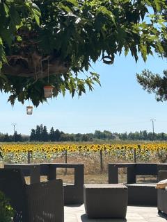 Roulotte équestre de la Trinacria - Arles - 8