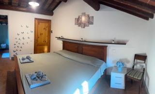La Mora Affittacamere - Tuoro sul Trasimeno - 5
