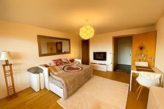 Studio cosy au calme avec terrasse vue sur Alpes - 8