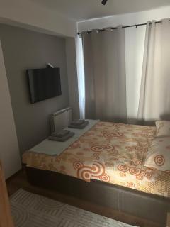 Veskovski-apartment in the center of Skopje - Skopje - 1