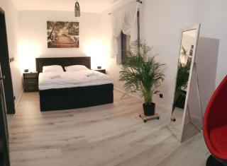 Business & Relax House - Jejkowice - 5