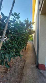 2-Bedrooms apartment Koviljka - Bar - 6
