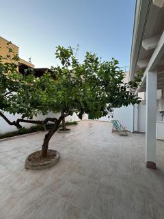 Le belle Volte Apartments - 8