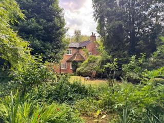 Sunny Cottage - 9