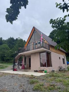 Villa Cottage Merisi - Inasharidzeebi - 8