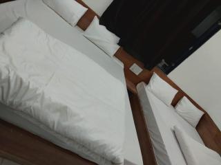 Ladli palace guest house - 1