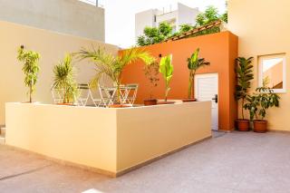 The Secret Yard - Lanarka - 6