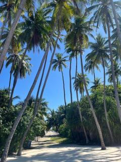 Gaskara Guesthouse - Shaviyani Atoll - 4