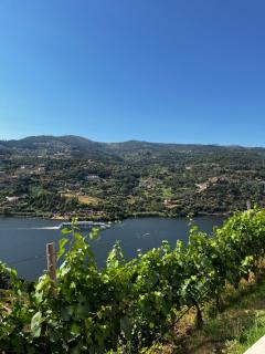 Douro Nest House - - 8