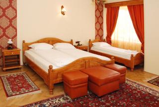 Vila Nicoleta - Sibiu - 0