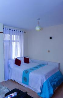 Conveniently & centrally located modern secured studio apartment - Nairobi - 6
