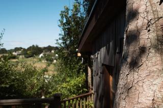 Tree-Tops Treehouse Eco Retreat - Dewlish - 8