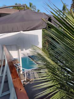 Mata Atlântica Apart Container - 9