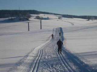 Chalet in Rittersgrun near Ski Slopes, cleaning included - Arnoldshammer - 5