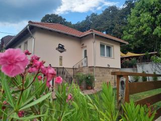 Ház a tónál Noszvaj - 0