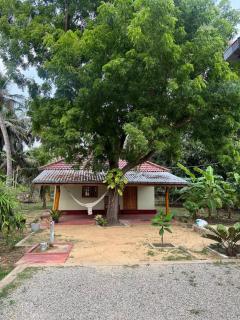 Nature Paradise - Jaffna - 9