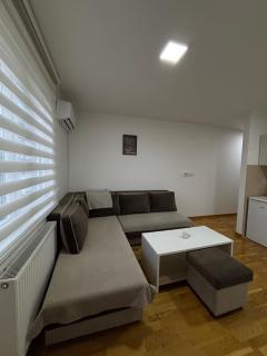 Apartman Pale - Biljana - 7