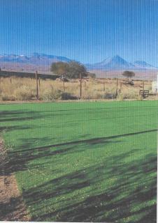 Hostal Solar - San Pedro de Atacama - 6