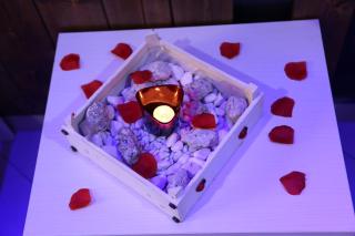 The Flower Garden - 7