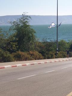 A dream studio apartment by the shores of the Sea of Galilee - 7