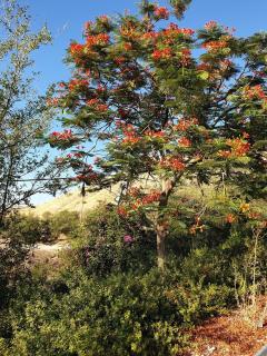 A dream studio apartment by the shores of the Sea of Galilee - 5
