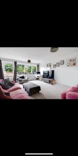 Stylish riverside townhouse with garden - Molesey - 9