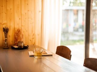 Holiday Home in Haarle near Sallandse Heuvelrug, cleaning included - 9