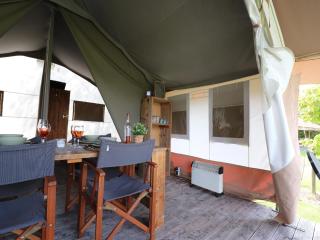 Safari tent in the middle of the Fryske Walden - Twijzel - 3