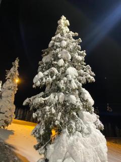 Kvitfjell mountain - 6