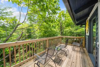 Treehouse on Beech - Beech Mountain - 9
