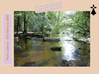 Le Ptit Kozhi, Confort, Nature & Plages - Plouay - 4