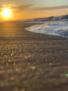 Sugar Beach 323 - Gulf Shores - 9