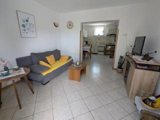 Apartma Zeleni mir - Dobravlje - 8