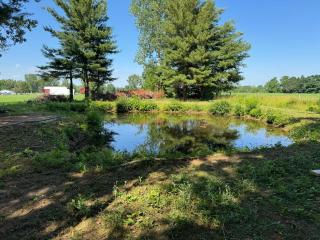 Log Cabin with Tiny Farm - Dunnville - 1
