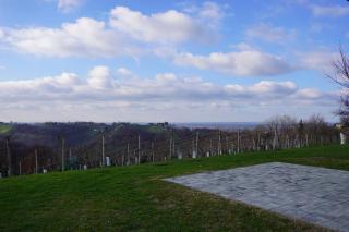 Počitniška hiša Slava - Štrigova - 6